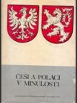 Češi a Poláci v minulosti I.- II. - náhled