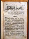 Ženské listy 1877 - náhled