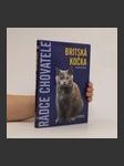 Britská kočka - náhled