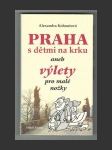 Praha s dětmi na krku aneb Výlety pro malé nožky - náhled