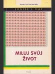 Miluj svůj život - náhled