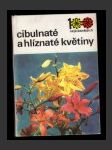 Cibulnaté a hlíznaté květiny - náhled