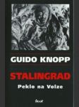 Stalingrad  - náhled