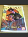 Flamenco Guitar - náhled