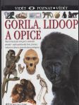 Gorila, lidoop a opice - náhled