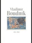 Vladimír Boudník - náhled