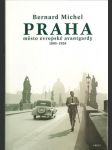Praha město  evropské avantgardy  1895-1928 - náhled