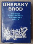 Uherský Brod : Minulost i současnost slováckého města - náhled