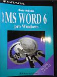 MS Word 6 pro Windows : snadno a rychle - náhled