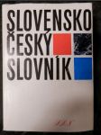 Slovensko-český slovník - náhled