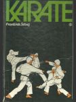 Karate - náhled