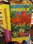 Praktická encyklopedie: Orchideje - náhled