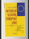 Aktuální slovník evropské unie - náhled