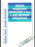 Akciová společnost, společnost s r.o. a jiné obchodní společnosti - náhled