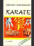 Základy sebaobrany Karate - náhled