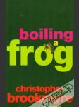 Boiling a Frog - náhled