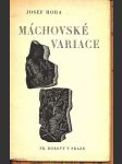 Máchovské variace - náhled