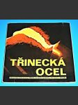 Třinecká ocel - náhled