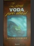 Živá voda pro duši - FERRERO Bruno - náhled