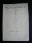 Michelangelo Buonarroti / Život a dílo / - PEČÍRKA Jaromír - náhled