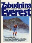 Zabudni na Everest - náhled