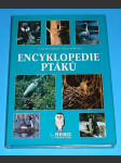 Encyklopedie ptáků - náhled