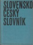 Slovensko - český slovník - náhled