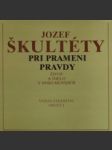 Pri prameni pravdy - náhled