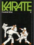 Karate - náhled